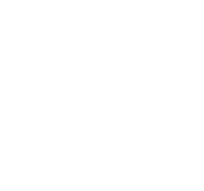 Cavallo Vineyard logo