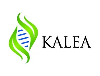 Kalea logo design, concept 105
