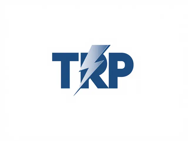 The Resource Professionals logo design, concept 187