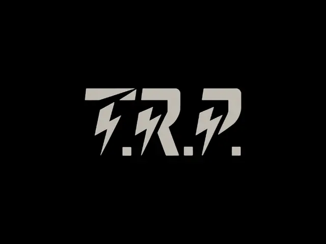 The Resource Professionals logo design, concept 213