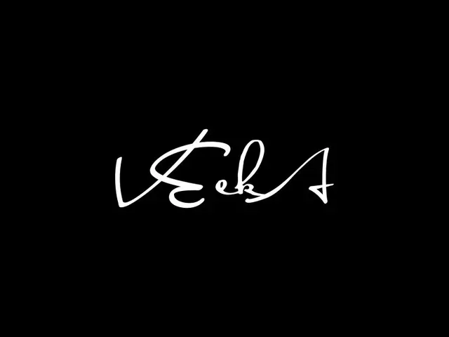 VeekA logo design, concept 13