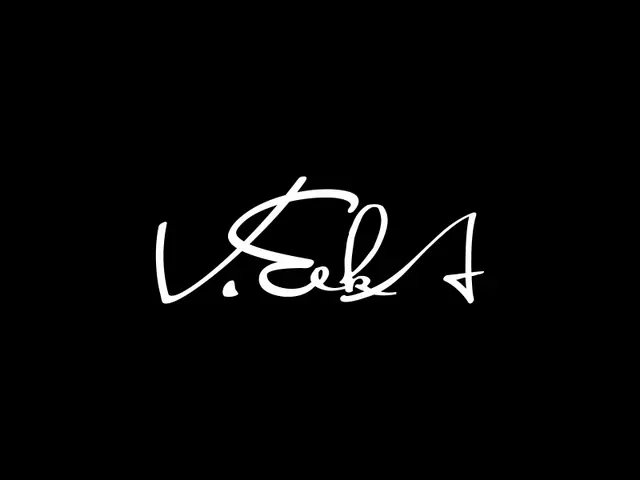VeekA logo design, concept 15