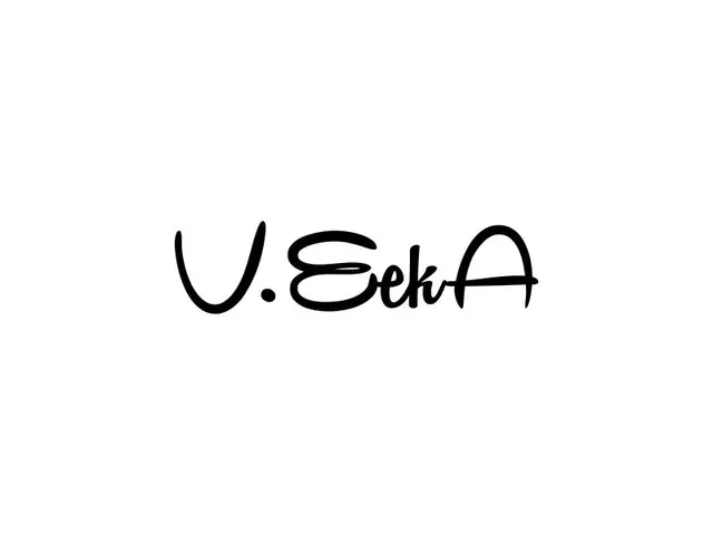 VeekA logo design, concept 25