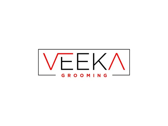 VeekA logo design, concept 30