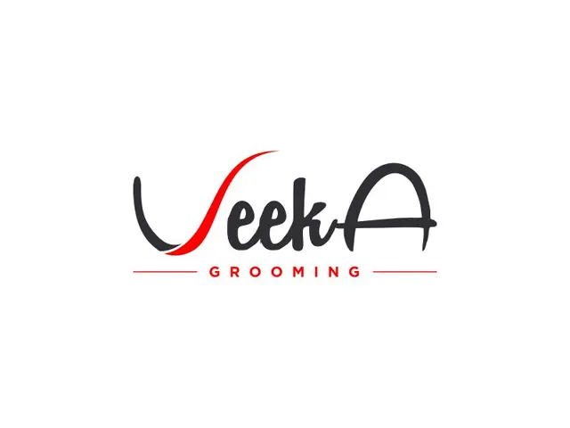VeekA logo design, concept 33
