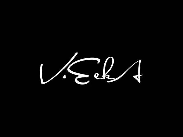 VeekA logo design, concept 38