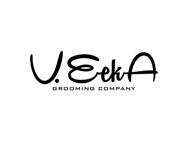 VeekA logo design, concept 51