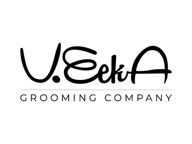 VeekA logo design, concept 58