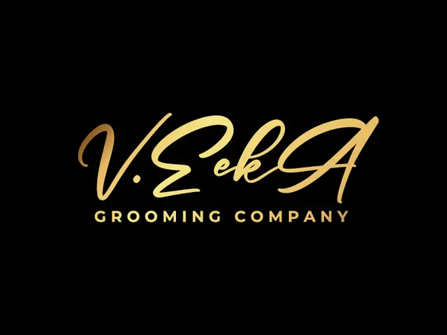 VeekA logo design, concept 65