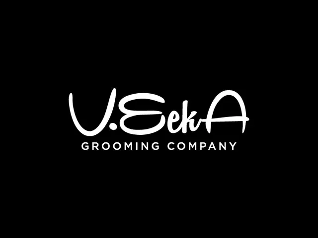 VeekA logo design, concept 69