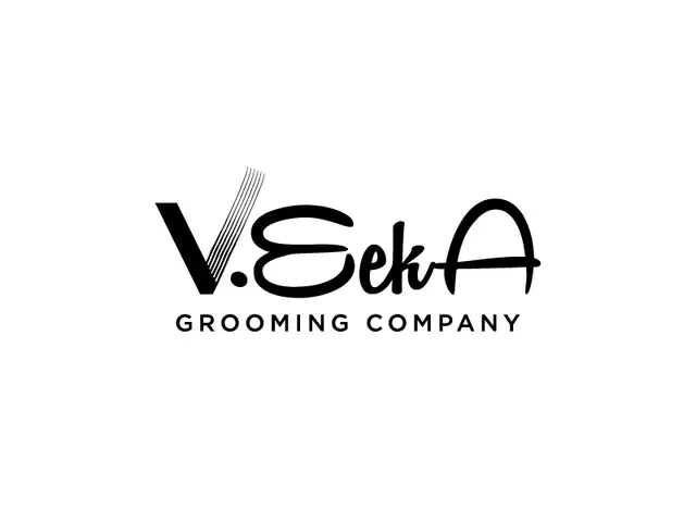 VeekA logo design, concept 70