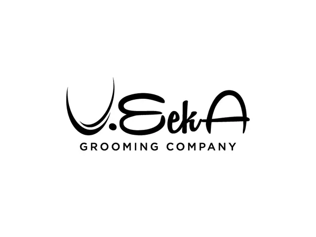 VeekA logo design, concept 72