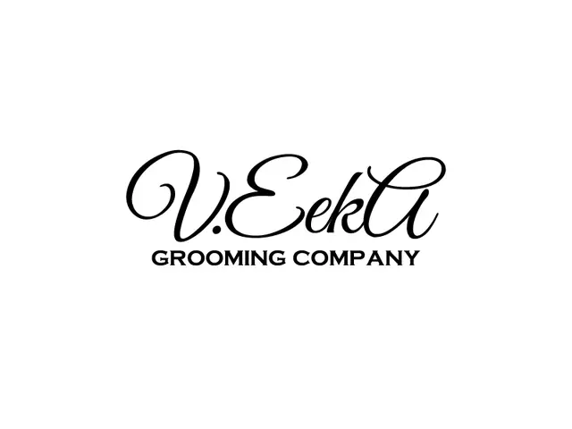 VeekA logo design, concept 74