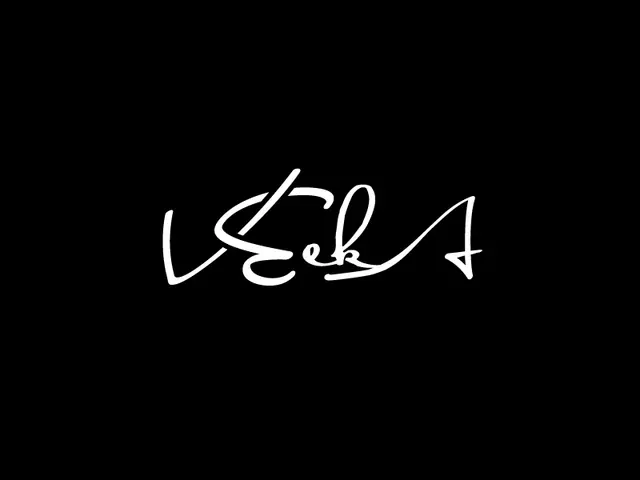 VeekA logo design, concept 76