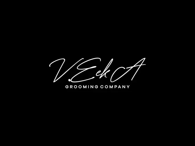 VeekA logo design, concept 94