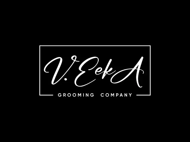 VeekA logo design, concept 101
