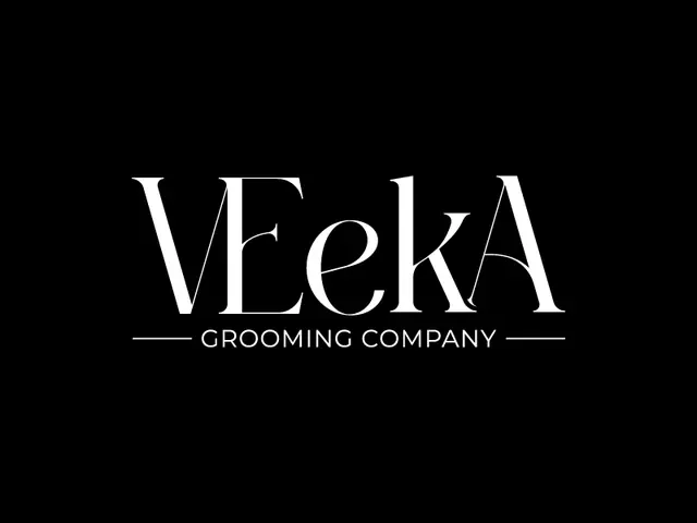 VeekA logo design, concept 104