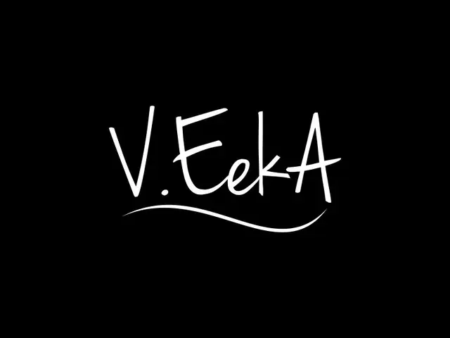 VeekA logo design, concept 121