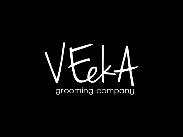 VeekA logo design, concept 126