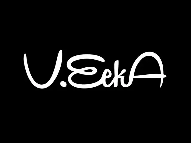 VeekA logo design, concept 135