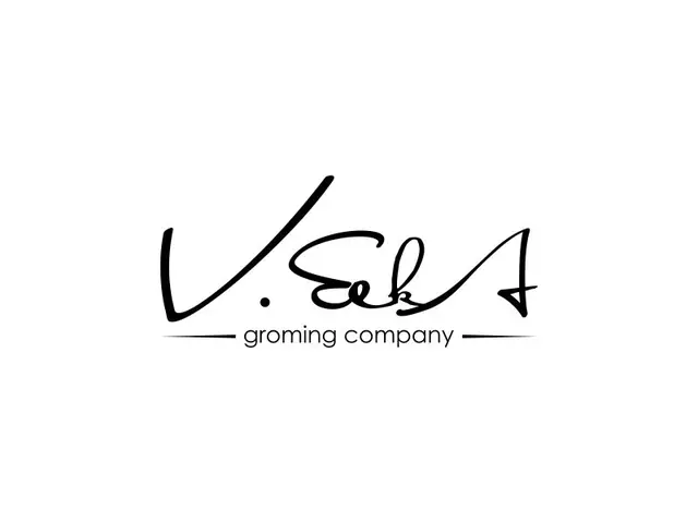 VeekA logo design, concept 143