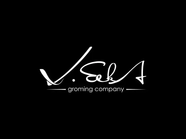 VeekA logo design, concept 144