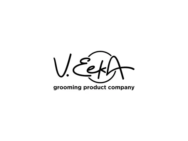 VeekA logo design, concept 147