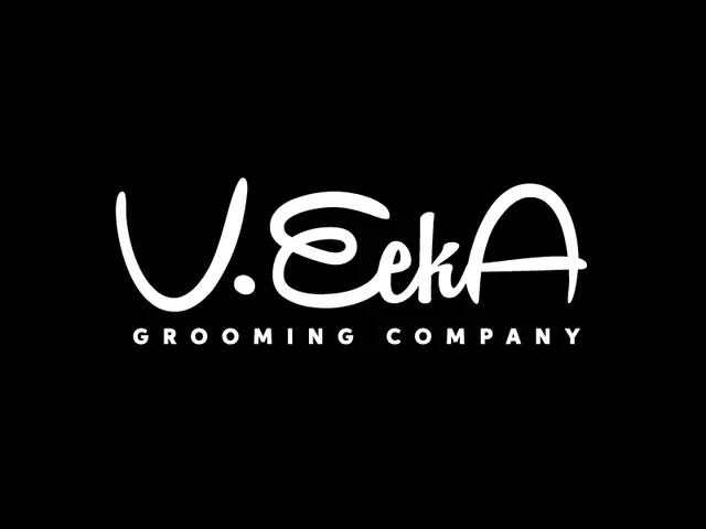 VeekA logo design, concept 165