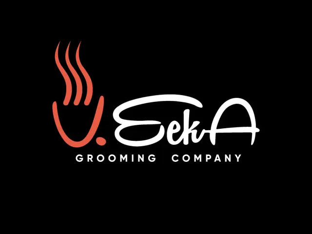 VeekA logo design, concept 166