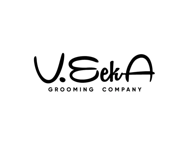 VeekA logo design, concept 167