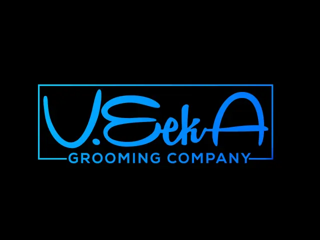 VeekA logo design, concept 169