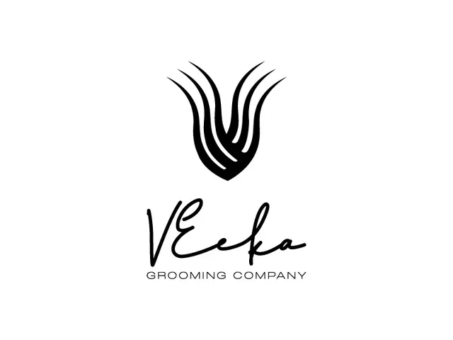 VeekA logo design, concept 177
