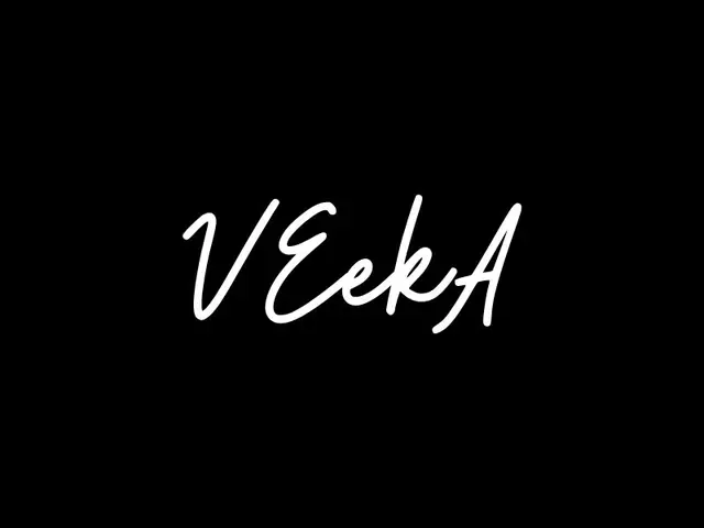 VeekA logo design, concept 179