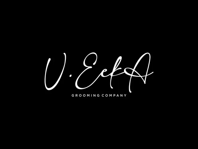 VeekA logo design, concept 190