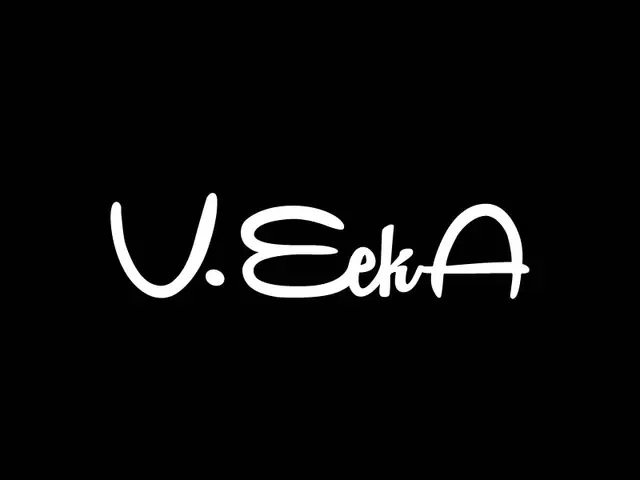 VeekA logo design, concept 199