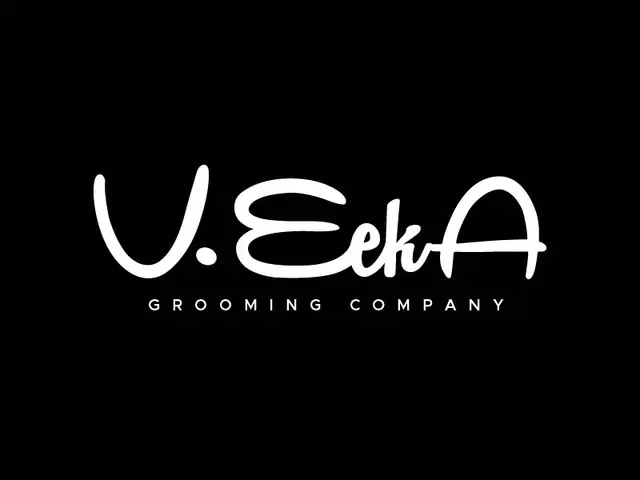 VeekA logo design, concept 201