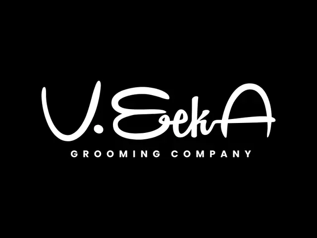 VeekA logo design, concept 226