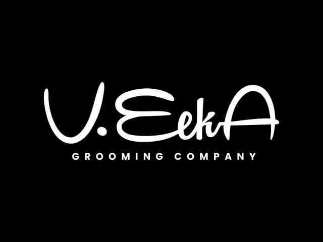VeekA logo design, concept 228