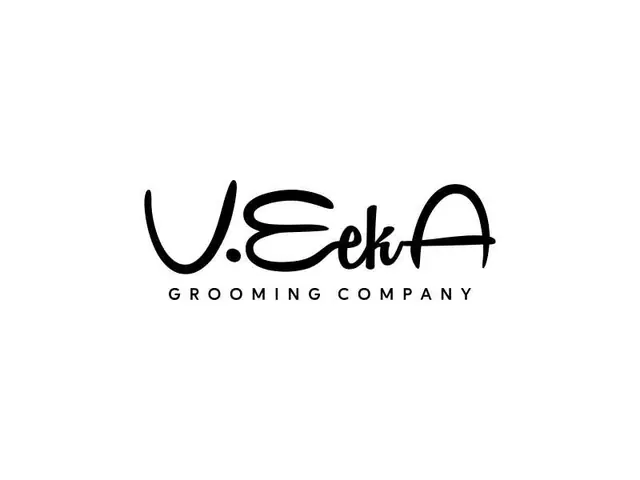 VeekA logo design, concept 258