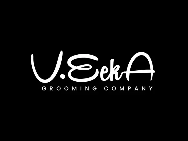 VeekA logo design, concept 262