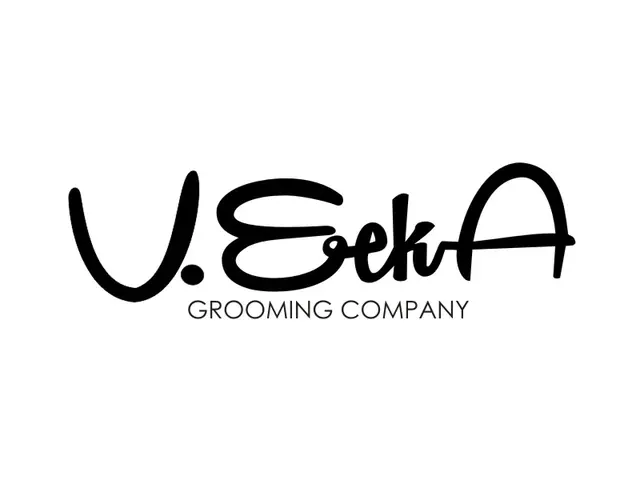 VeekA logo design, concept 265
