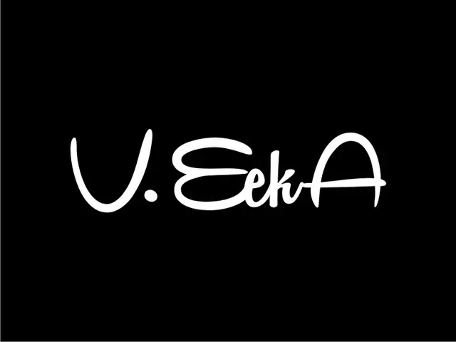 VeekA logo design, concept 304