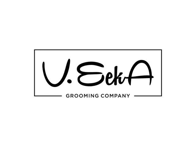 VeekA logo design, concept 317