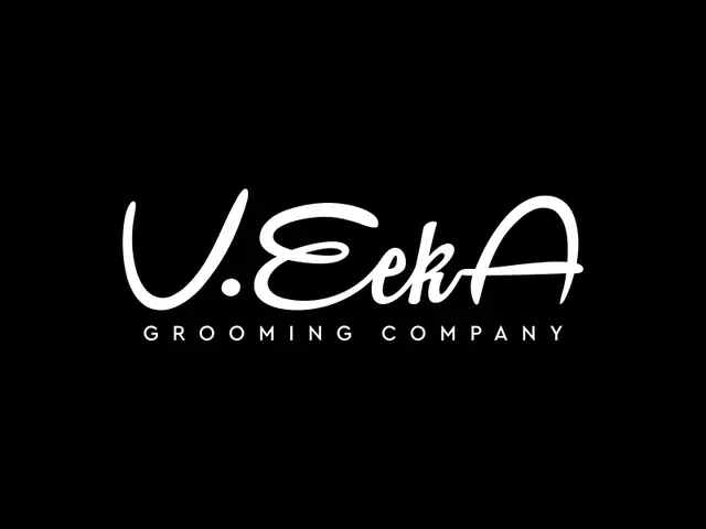 VeekA logo design, concept 321